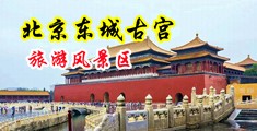 肏小骚屄视频中国北京-东城古宫旅游风景区